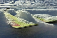 FIS отменила проведение в РФ оставшихся в этом сезоне этапов Кубка мира