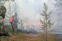 Добровольцам-пожарным хотят дать статус волонтёров