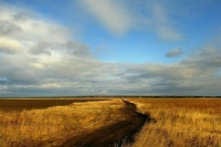 Задачи госпрограммы по вовлечению земель в сельхозоборот предложили скорректировать