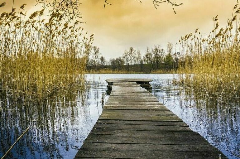 Военные ДНР помогли жителям Николаевки едой и электричеством