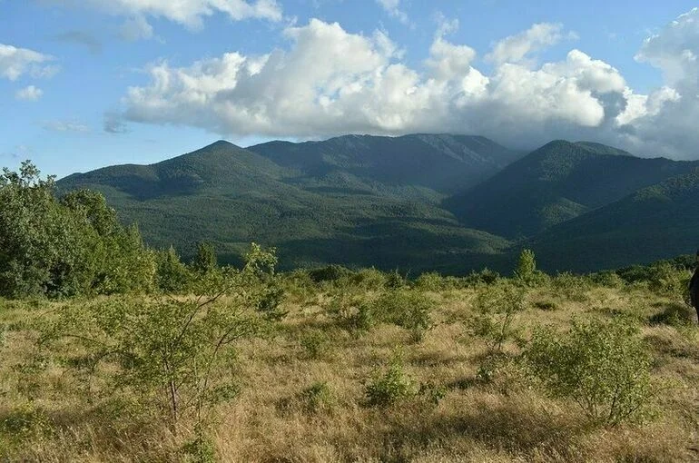 В Северо-Крымский канал начала поступать вода с Украины