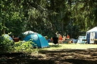 Программу детского туристического кешбэка возобновят