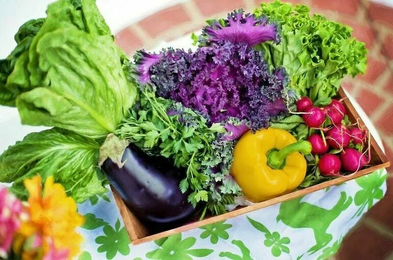 Кардиолог назвал продукты для очистки сосудов   