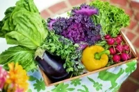 Кардиолог назвал продукты для очистки сосудов   