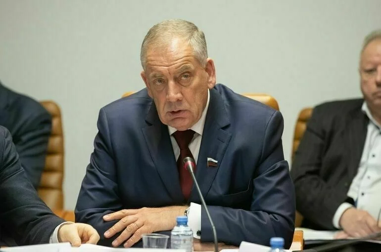 В Совфеде спрогнозировали объем рынка российских препаратов к 2030 году