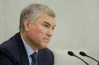 Володин: В группах продленного дня в школах нужно организовать развивающие кружки