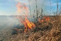 Штраф за поджог сухой травы может вырасти в десять раз