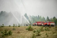 В МЧС рассказали, сколько пожаров удалось остановить на подступах к населённым пунктам