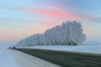 Москвичам прогнозируют полярный холод на стыке марта и апреля