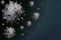 Эксперты допускают появление нового штамма коронавируса в Западно-Тихоокеанском регионе