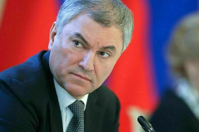 Володин призвал не допустить роста цен на энергоресурсы