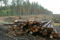 В комитете Совфеда поддержали два закона о пожарной безопасности