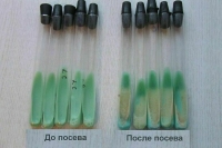 Когда открыли палочку Коха