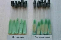 Когда открыли палочку Коха