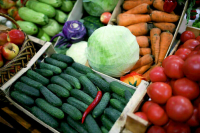 Нилов призвал дать фермерам право торговать своей продукцией «с колес»