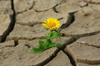 Козлов: Минприроды планирует решить проблемы дефицита воды в ряде регионов