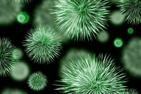 В России утвердили порядок ввоза и вывоза патогенов и вирусов