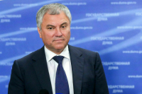 Володин обозначил вопросы, которые планируется обсудить в ходе отчета кабмина