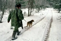 Ненцам и эвенкам предложили разрешить охоту независимо от места проживания
