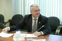 Депутат назвал способ удешевить ввоз санкционных товаров