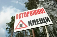 Как уберечься от укусов клещей