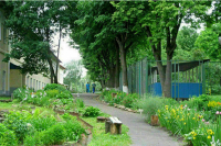 Перепрофилирование детских санаториев хотят запретить