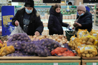 Эксперт рассказал, как распознать ядовитый картофель