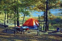 Догузова: По программе детского кешбэка продано более 100 тысяч путевок