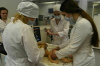 Кравцов назвал самые популярные специальности среди абитуриентов