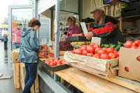 Самозанятых хотят уравнять с малым бизнесом в правах на нестационарные торговые места