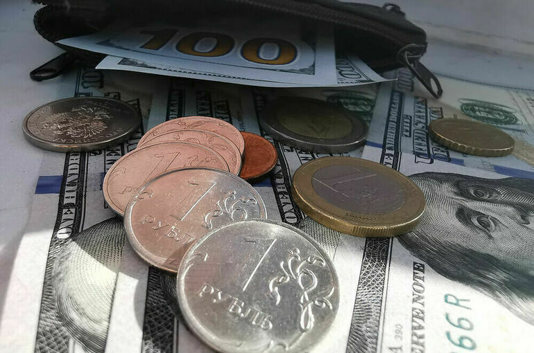 Таможне хотят дать право на дознание по делам о валютном контроле