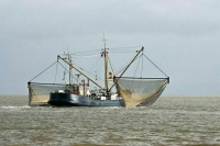 Незаконную ловлю рыбы иностранцами хотят ограничить