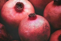 Фрукты из Турции разрешили ввозить в Россию