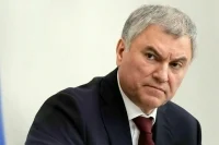 Володин предложил изучить целесообразность участия России в ряде международных организаций