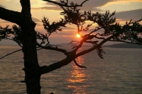 Заповедники защитят от новых строек