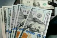  Экономист назвал политическим жестом намерение ЦБ судиться из-за ЗВР