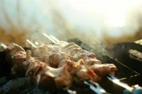 МЧС: В майские праздники можно будет жарить шашлык на природе