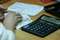Депутат предложил упростить бухгалтерам жизнь