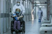 Правительство упростит поиск доноров костного мозга