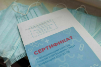 В Роспотребнадзоре сообщили о доминировании в России «стелс-омикрона»