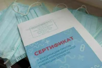В Роспотребнадзоре сообщили о доминировании в России «стелс-омикрона»