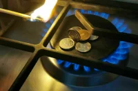 СМИ: 10 европейских компаний открыли спецсчета для оплаты российского газа