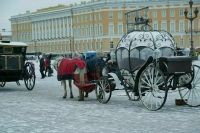 Синоптик предупредил петербуржцев о снегопаде в конце апреля