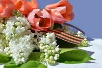 Парламент Гагаузской автономии Молдавии снял запрет на георгиевскую ленту