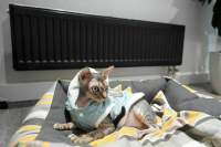 В столице из-за холодов продлили отопительный сезон