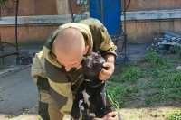 В Мариуполе российский военный спас собаку от голода