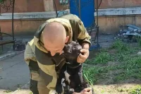 В Мариуполе российский военный спас собаку от голода