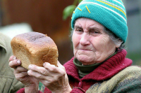 Учет нуждающихся в соцподдержке хотят вести на единой онлайн-платформе