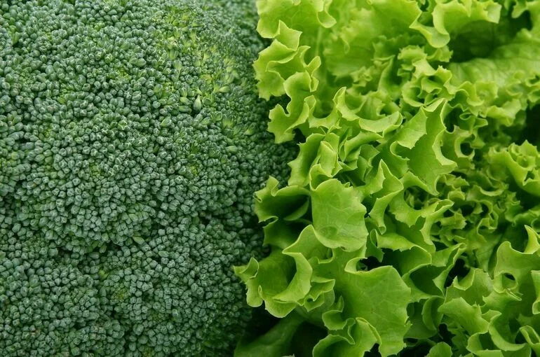 В Роспотребнадзоре рассказали, какие продукты будут полезны для иммунитета в мае