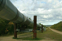 На Украине заявили о прекращении транзита газа в Европу через станцию «Сохрановка»